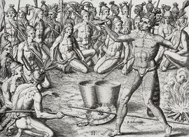 Flowers in the garden